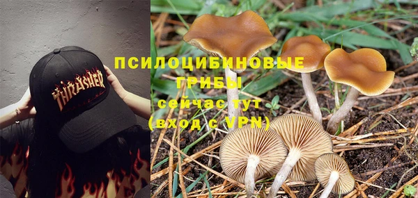 экстази Бугульма