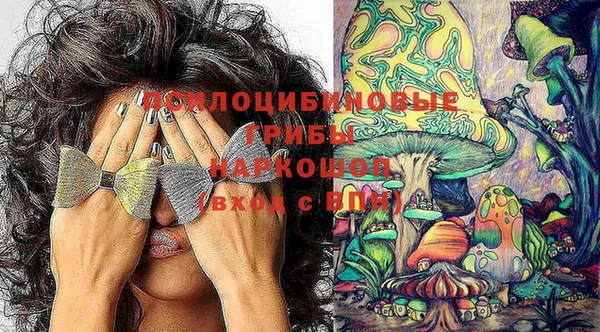 ешки Саяногорск