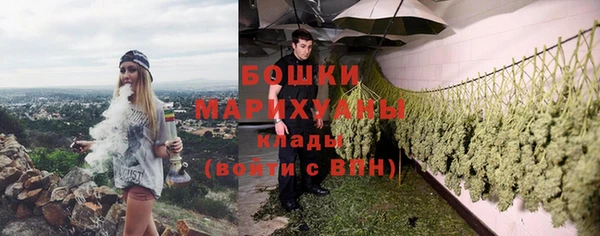 гашик Бородино