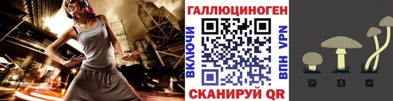 даркнет официальный сайт  Междуреченск  Галлюциногенные грибы Psilocybine cubensis 