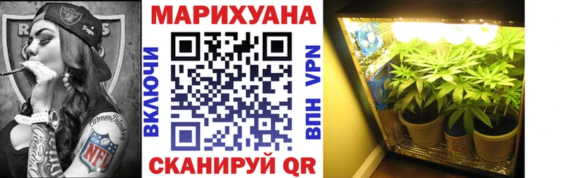 Бошки марихуана Amnesia  Междуреченск 